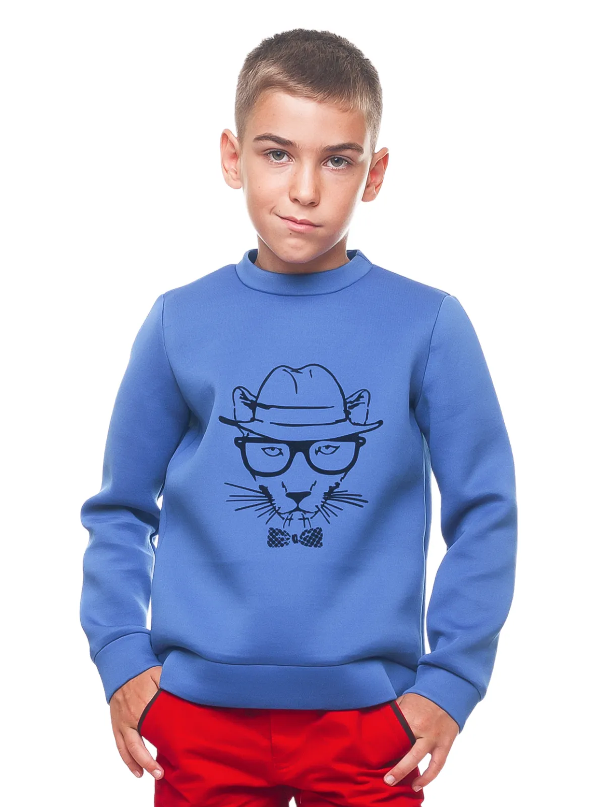 Boys Blue Cool Cat Sweatshirt by Kids Couture