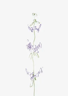 Minimal Wildflower Wall Art Print "Purple"